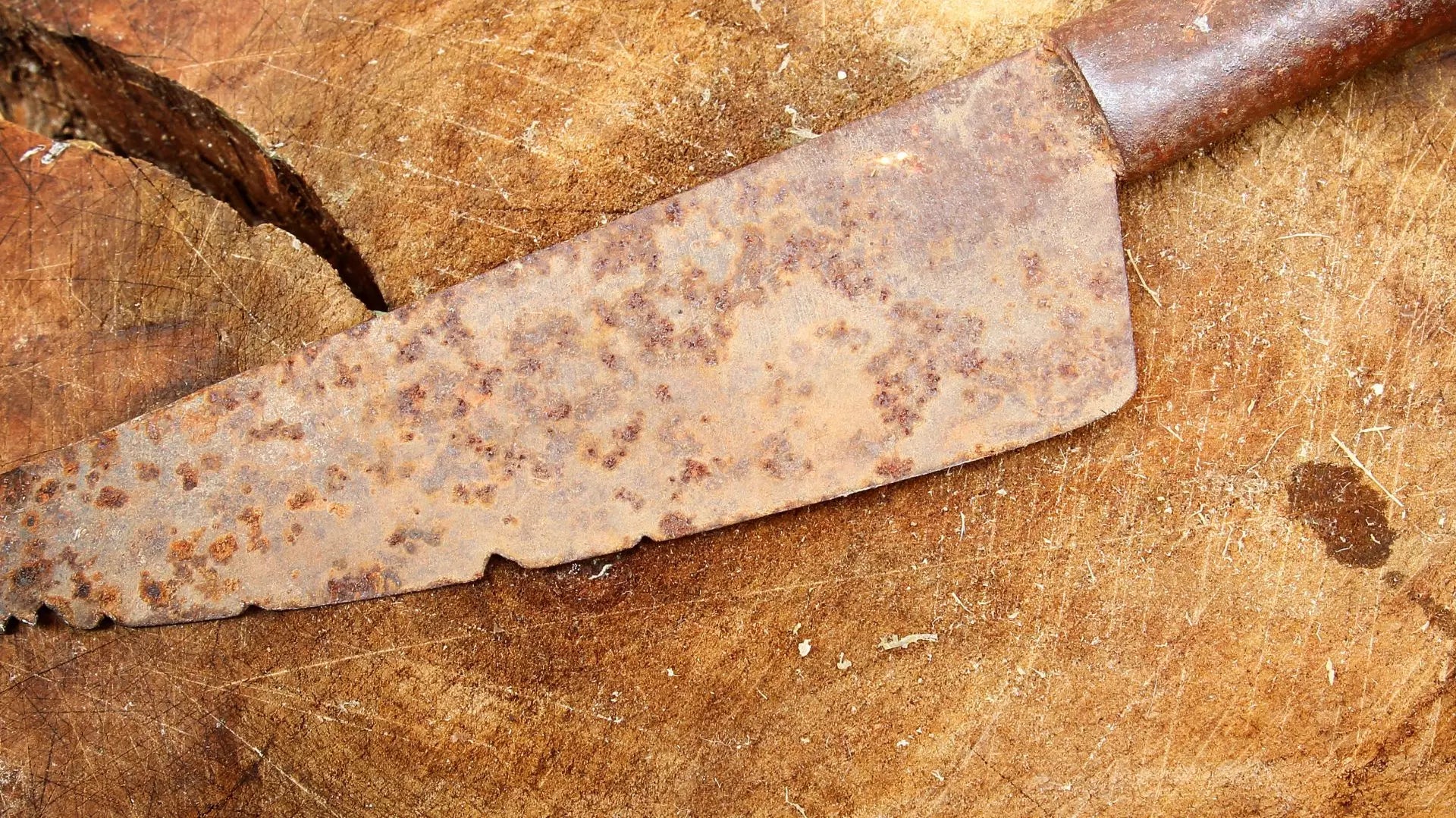 Rust Forged 5 DIY Ways To Do Knife Rust Removal – Forged Blade