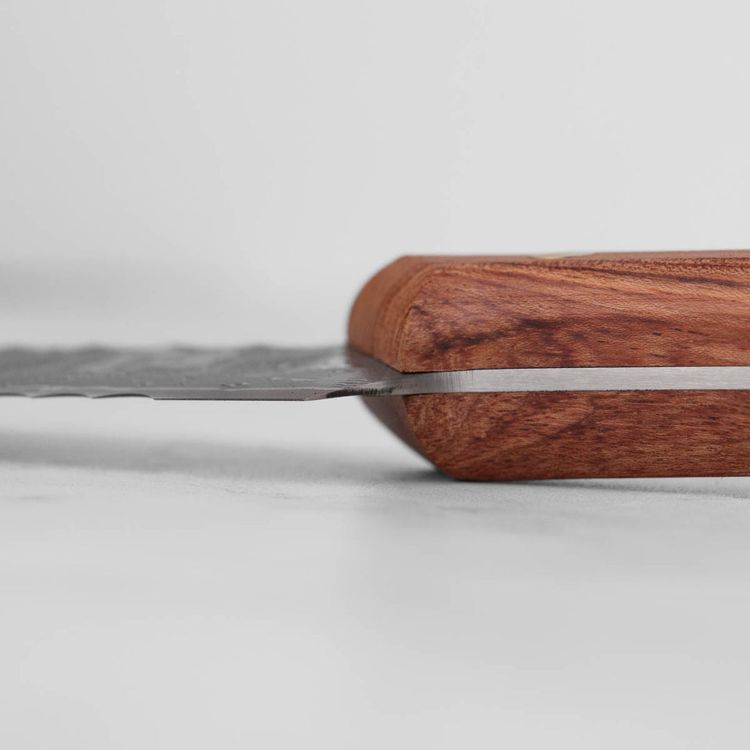 Wildrose Series - 8" Bread Knife