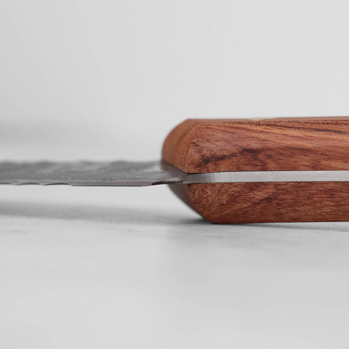 Wildrose Series - 8" Bread Knife